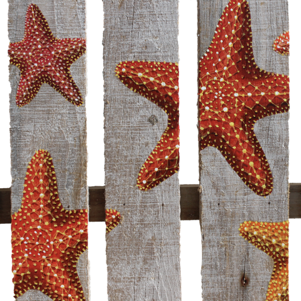 star fish painting on driftwood